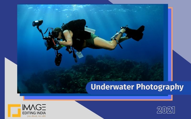 Underwater Photography